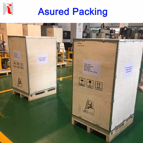 5 anni di garanzia Zp